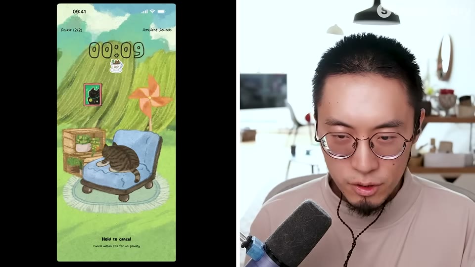 세션 중 의자에 앉은 고양이