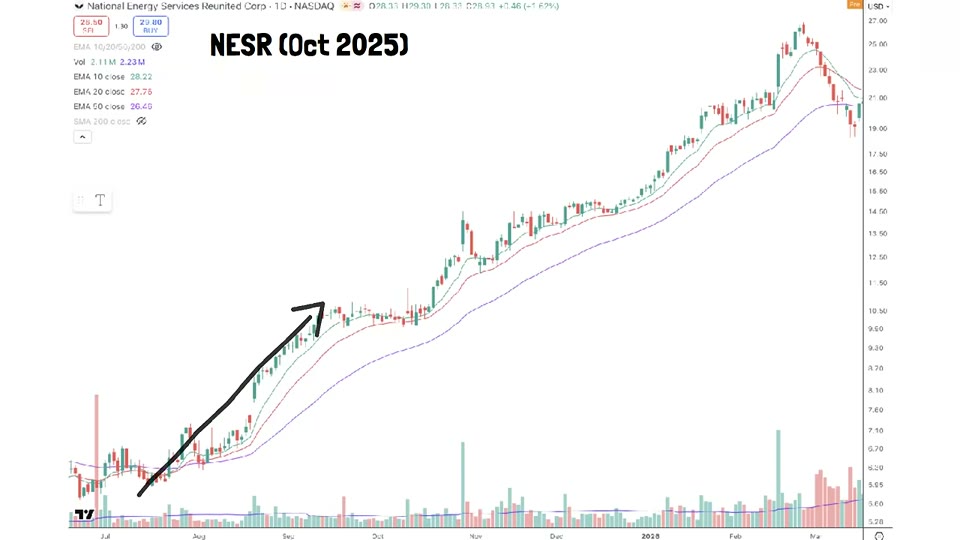 NESR 차트 예시