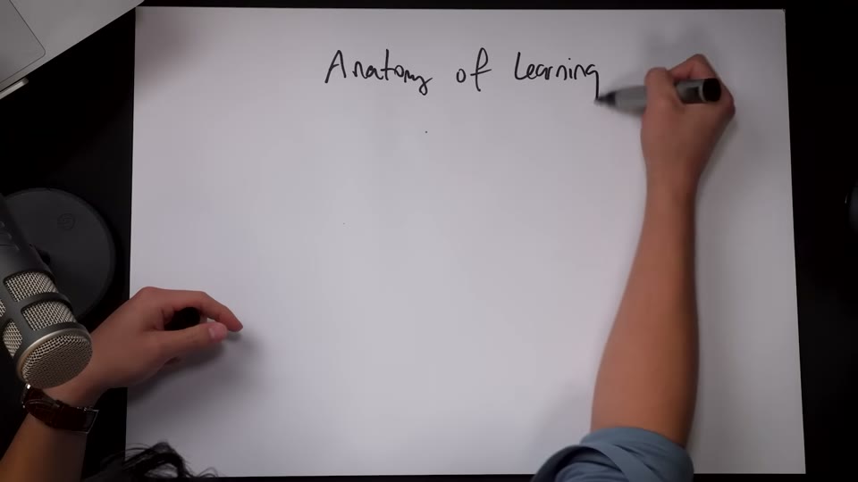 Anatomy of Learning 다이어그램을 그리는 장면