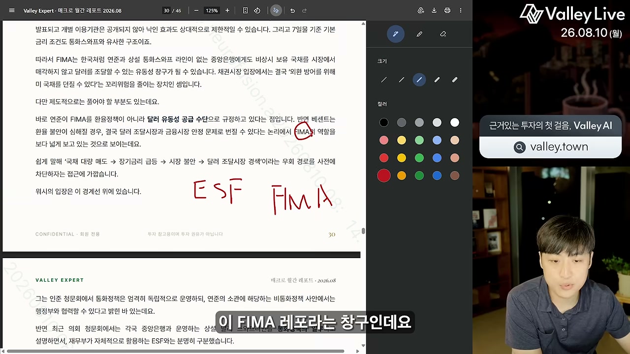환율안정기금 ESF와 첫 번째 수단 설명 화면