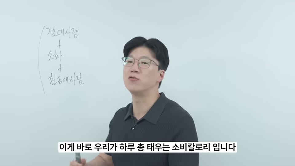 기초대사량 + 소화 + 활동대사량이라는 화이트보드 필기