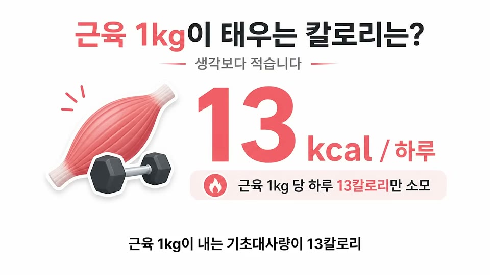 근육 1kg이 태우는 칼로리는? 13kcal/하루라는 인포그래픽