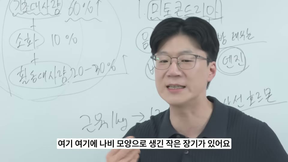 목 앞쪽 나비 모양 갑상선을 설명하는 트레이너