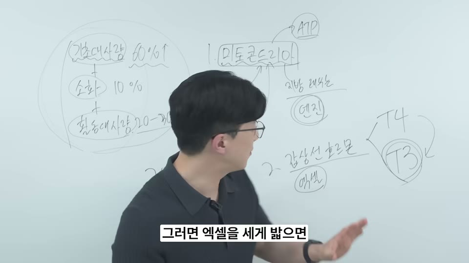 엑셀을 세게 밟으면이라는 자막과 T4, T3 다이어그램