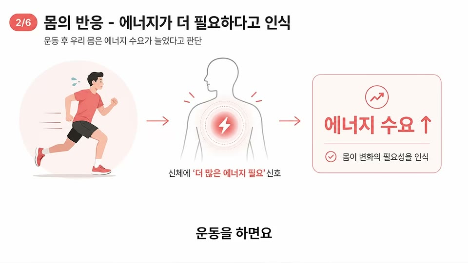 운동 후 몸이 에너지가 더 필요하다고 인식한다는 2/6 인포그래픽
