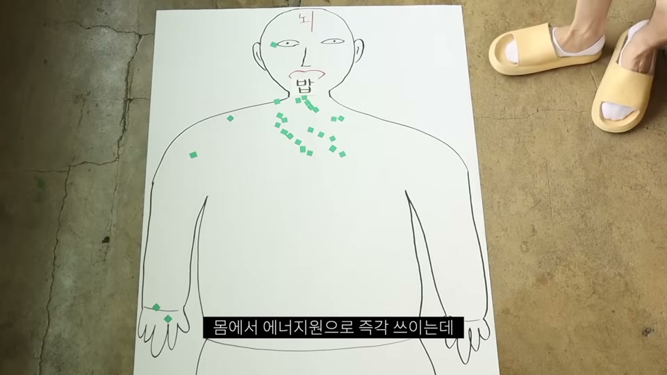 인슐린과 지방 저장 메커니즘