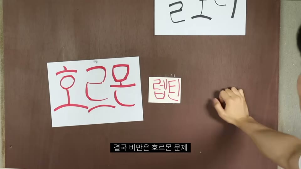 렙틴과 인슐린 관계 설명