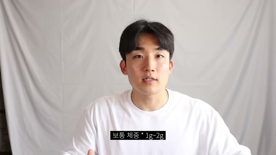 단백질 섭취량 설명